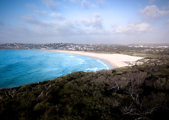 Image showing Headland views to Curl Curl beach and suburb