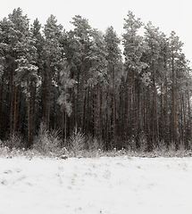 Image showing Snow drifts in winter