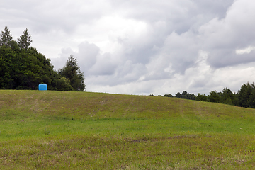 Image showing dry straw