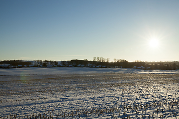 Image showing Winter season