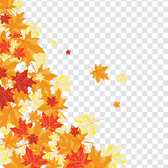 Image showing Maple leaves on transparency grid