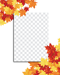 Image showing Maple leaves on transparency grid