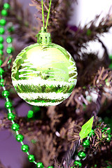 Image showing Christmas ornaments on tree.