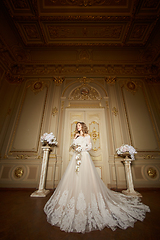 Image showing elegant stylish bride looking at rich interior in old building