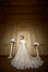 Image showing elegant stylish bride looking at rich interior in old building