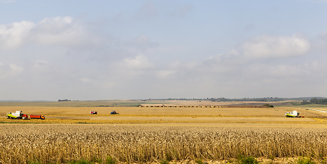 Image showing two combine harvester