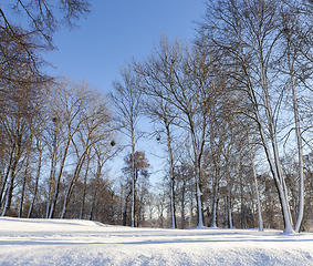 Image showing Snow drifts in winter