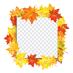 Image showing Maple leaves on transparency grid