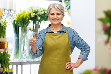 Image showing senior woman in garden apron showing thumbs up