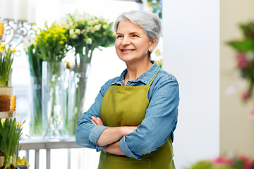 Image showing portrait of smiling senior woman in garden apron