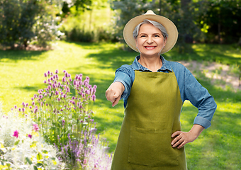 Image showing portrait of smiling senior woman in garden apron