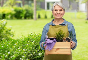 Image showing smiling senior woman with garden tools in box