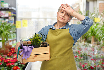 Image showing tired senior woman with garden tools in box