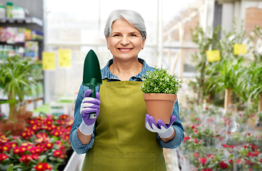 Image showing old woman in garden apron with flower and trowel