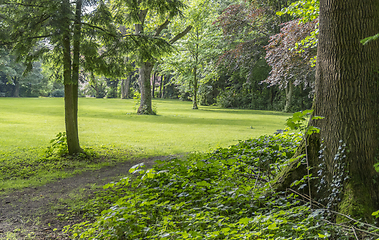 Image showing idyllic park scenery