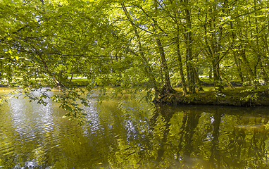 Image showing idyllic park scenery