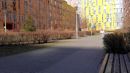 Image showing Girl rides a bike through city streets. Beautiful girl rides bicycle in park on street, sunny day. A teenager rides bicycle in park. Health and sport concept.