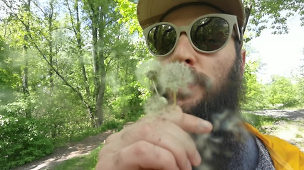 Image showing Portrait of a beard man blowing on the ripened dandelion. Slow motion video.