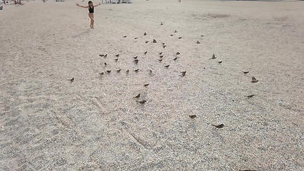 Image showing Kid girl on a beach play with birds flying near waterline of sea.