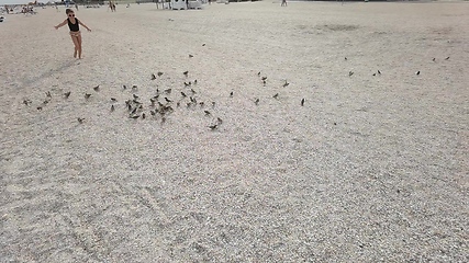 Image showing Kid girl on a beach play with birds flying near waterline of sea.