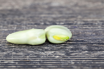 Image showing fresh bean grain