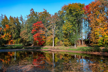 Image showing autumn colored trees reflection in water