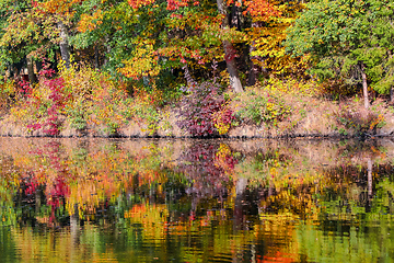 Image showing autumn colored trees reflection in water