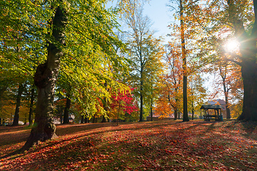 Image showing autumn in park in fall season