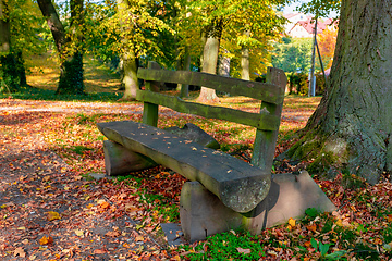 Image showing autumn in park in fall season