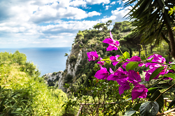 Image showing Capri island in  Italy