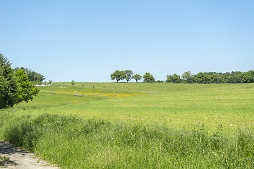 Image showing idyllic spring time scenery