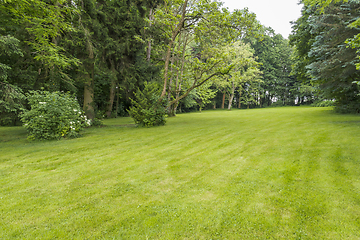 Image showing idyllic park scenery