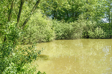 Image showing sunny lake scenery