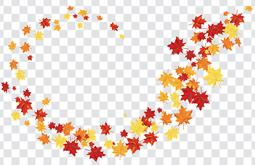 Image showing Maple leaves on transparency grid