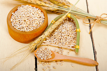 Image showing organic wheat grains