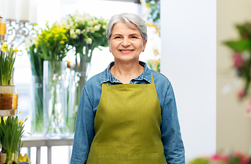 Image showing portrait of smiling senior woman in garden apron