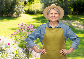 Image showing portrait of smiling senior woman in garden apron