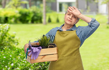 Image showing tired senior woman with garden tools in box