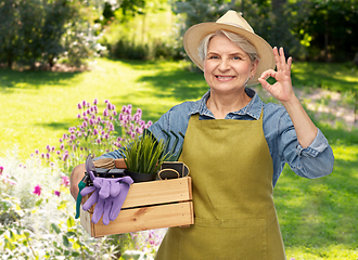 Image showing old woman with garden tools in box showing ok