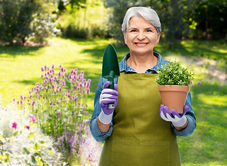 Image showing old woman in garden apron with flower and trowel