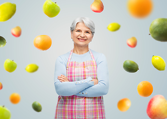 Image showing portrait of smiling senior woman in apron