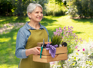 Image showing smiling senior woman with garden tools in box