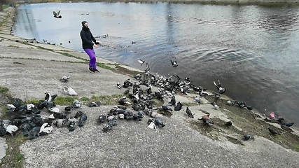 Image showing Man feeding pigeons in the old town near the canal.