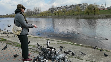 Image showing Man feeding pigeons in the old town near the canal.