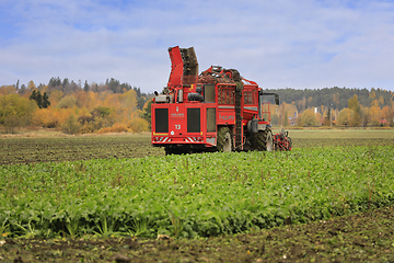 Image showing Holmer Terra Dos T3 Beet Harvester at Work in Field