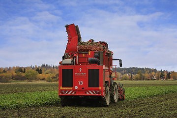 Image showing Holmer Terra Dos T3 Beet Harvester Working in Field