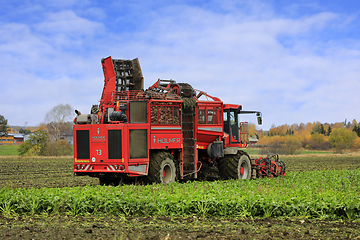 Image showing Holmer Terra Dos T3 Beet Harvester Working in Sugar Beet Field