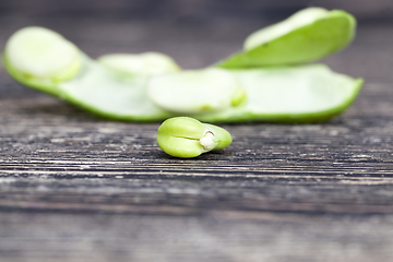 Image showing fresh bean grain