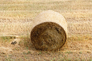 Image showing cylindrical shape of straw stacks