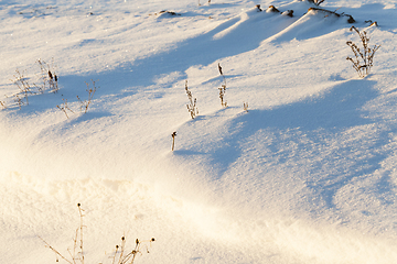 Image showing Photo of snow, close-up